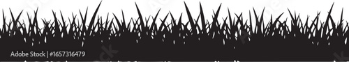 Silhouette of lush green grass blades against a bright white background