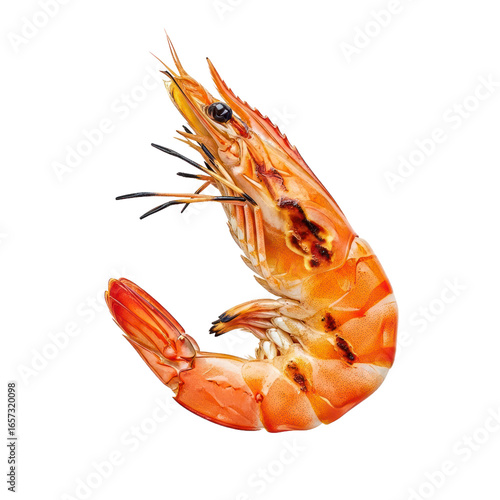 A single grilled shrimp with its head and tail, cooked to a vibrant orange, isolated on a white background.