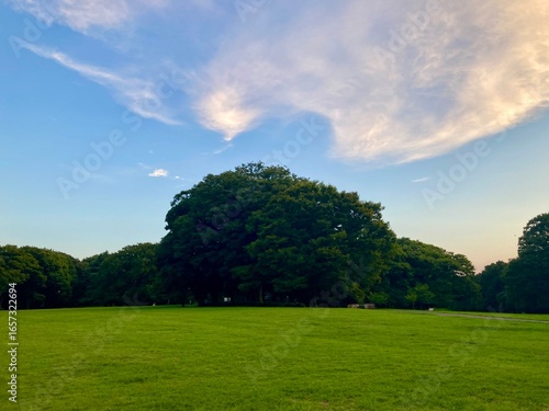 公園の夕暮れ風景　東京都世田谷区　砧公園