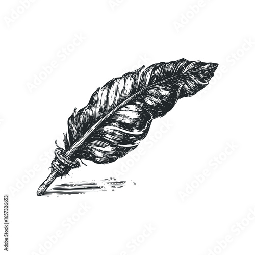 Detailed sketch of a quill pen with a knotted shaft and shadow