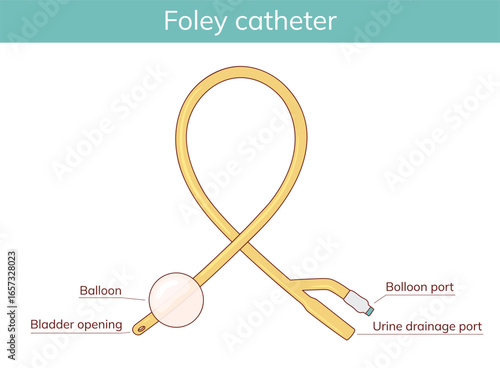 Medical Foley catheter. Hand drawn vector illustration.