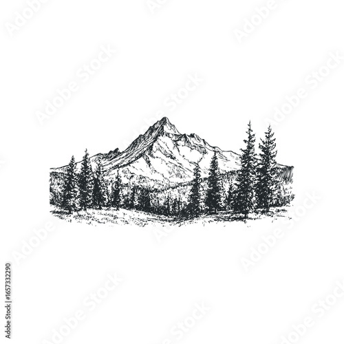 Detailed Ink Sketch of Majestic Mountain Peak with Pine Forest Foreground