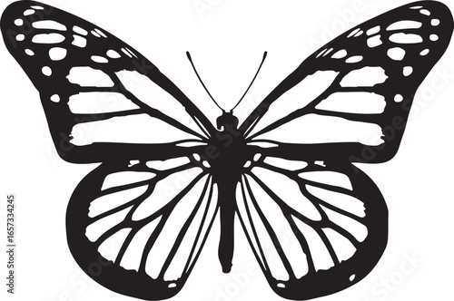 Monarch butterfly with open wings isolated on white background sticker style	