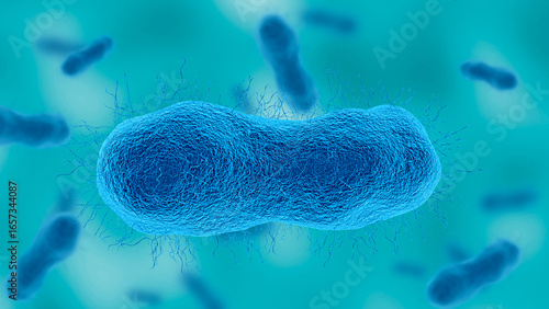Acinetobacter baumannii, gram negative aerobic bacteria resistant to antibiotics