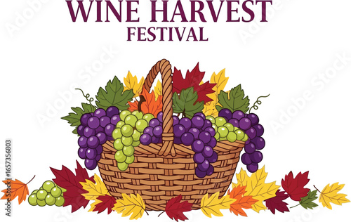 Wine harvest festival illustration with grapes and leaves in a basket, celebrating the autumn season