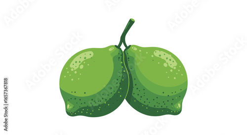 Fresh ripe green citrus fruits on a stem with a white background ready for juicing or zesting