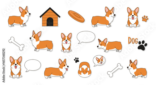 Adorable pembroke welsh corgi dog collection featuring various poses and accessories for pet lovers