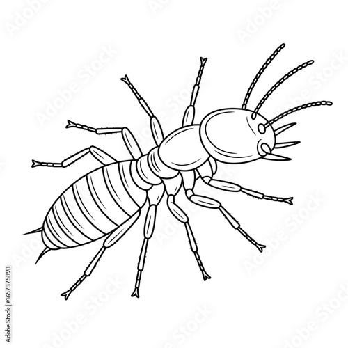 termite on colouring page vector 