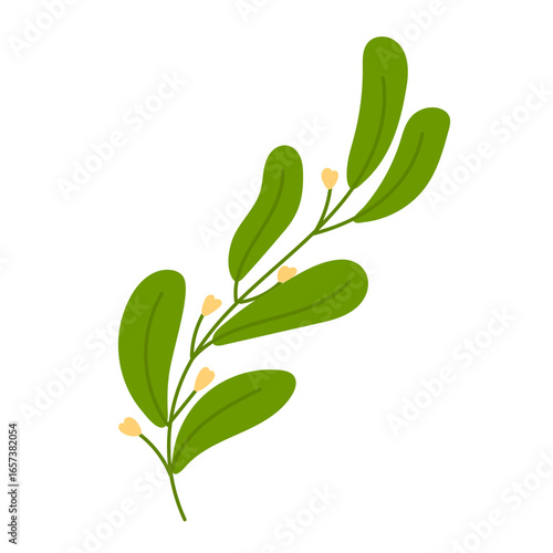 Green Branch with Yellow Buds Illustration