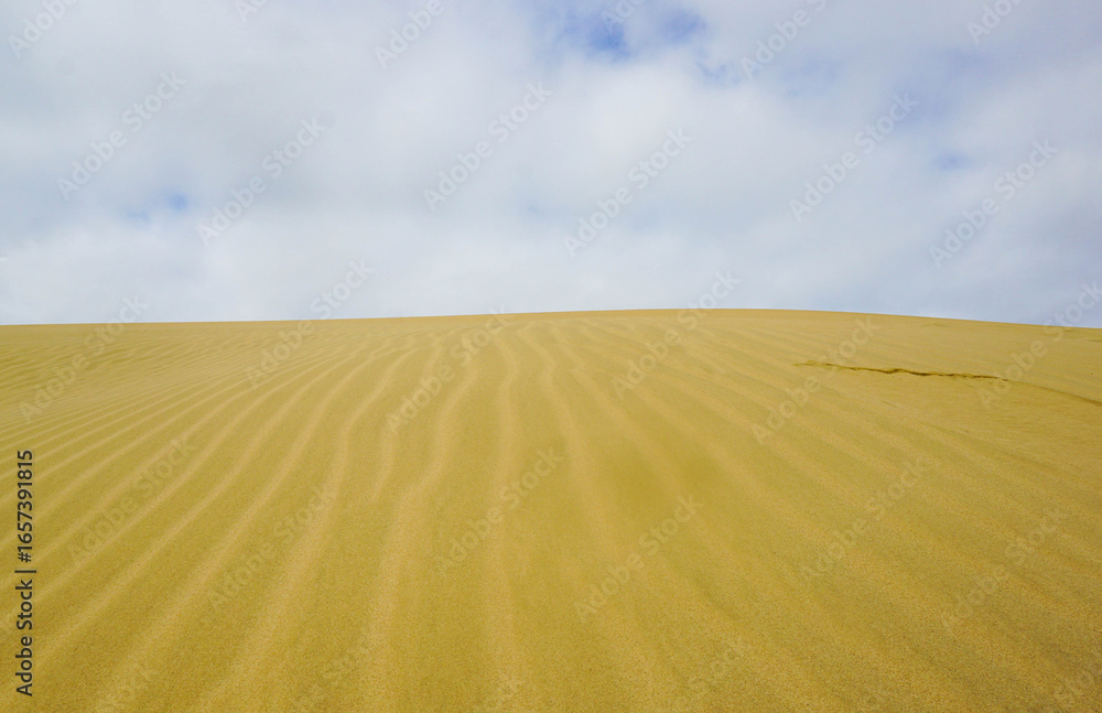 Naklejka premium The view around The Giant Sand Dunes in Cape Reinga, New Zealand.
