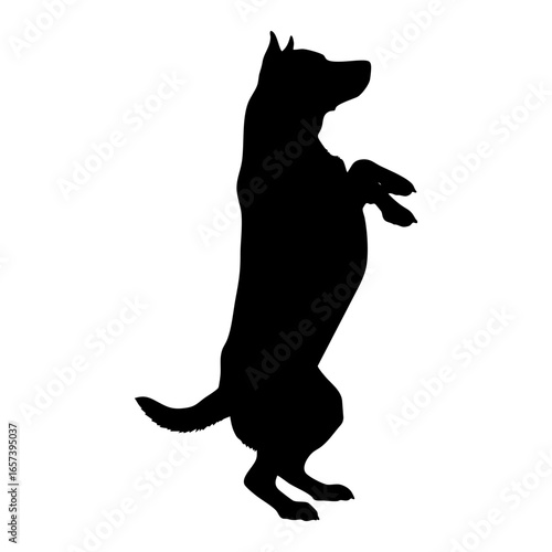 A Playful Pup's Silhuette: A Timeless Canine Digital Art