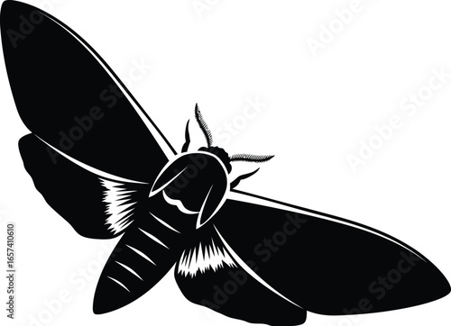A black and illustration of a moth flying towards moon, capturing beauty of nocturnal wildlife