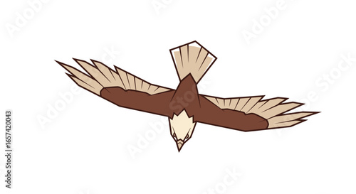 powerful eagle in flight lowpoly vector logo design for aviation freedom and environmental brands seeking a bold modern identity