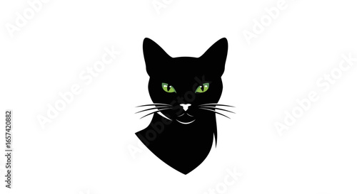 elegant black cat logo mysterious stylish mascot for pet businesses veterinary clinics or mystical brands