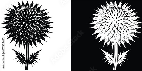 Elegant black and white stylized thistle illustration perfect for branding, design, and sophisticated projects