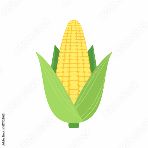 Minimal Corn Vegetable Vector