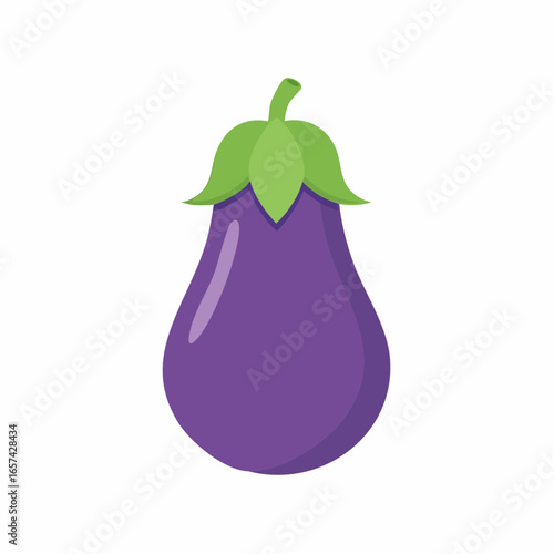 Purple Eggplant Vegetable Illustration