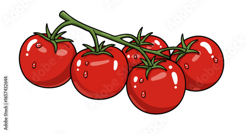 A vibrant bunch of ripe red tomatoes on a green vine, rendered as a clean vector illustration with a transparent background, perfect for healthy food designs.