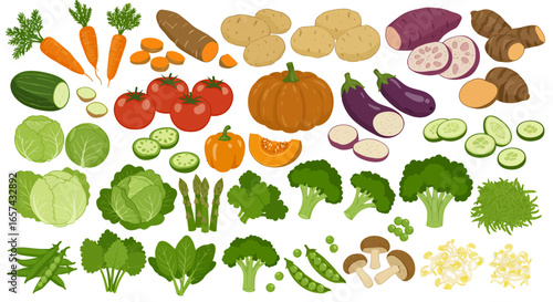 A vibrant collection of fresh, colorful vegetables and produce, perfect for healthy eating and culinary inspiration, presented in a clean vector format.