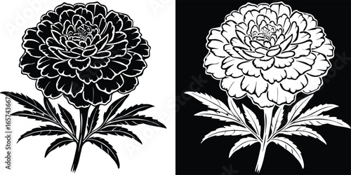 Elegant black and white marigold flower illustration, perfect for design projects, adding beauty and sophistication