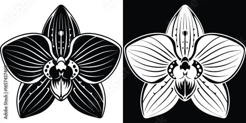 Elegant orchid flower design in black and white, perfect for modern branding and artistic projects