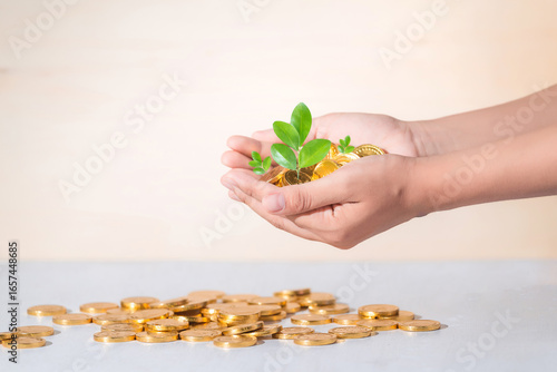coins in hand, saving, Business grow up concept