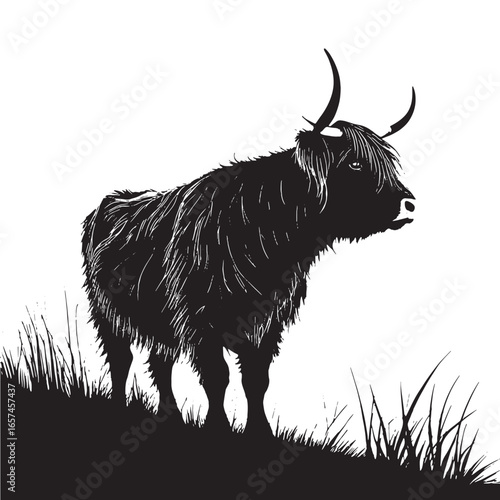 black highland cow Silhouette Vector, High Quality Illustration on White Background