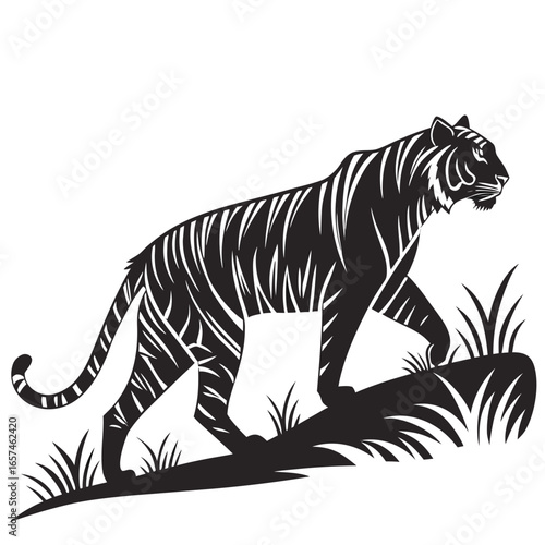 Photography tiger vector illustration