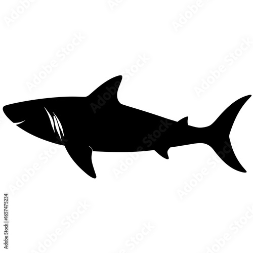 Silhouette of a great white shark swimming