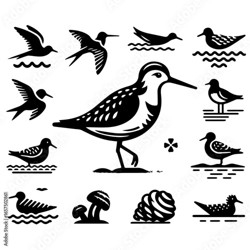 A collection of various bird silhouettes including shorebirds ducks and other avian species in black and white