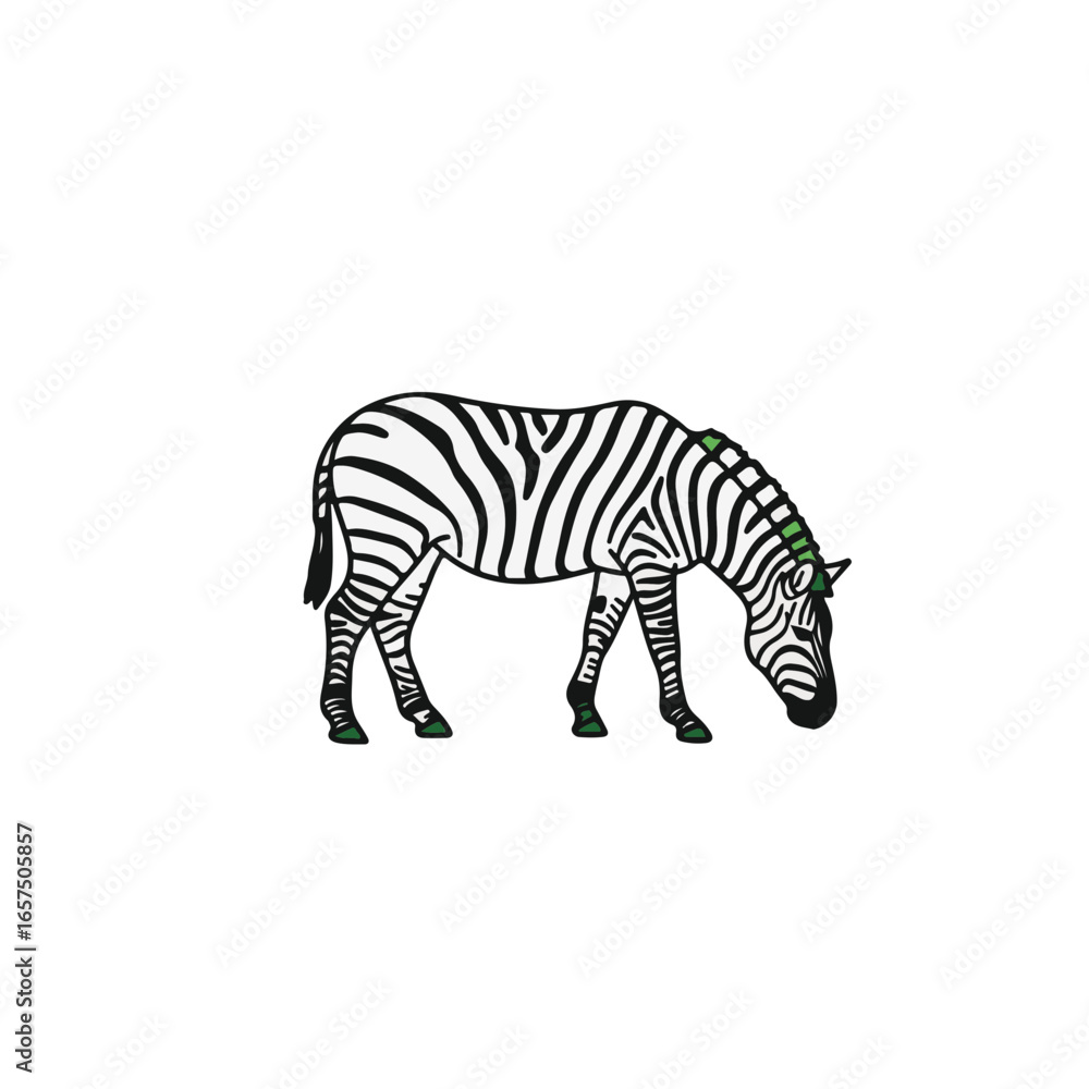Fototapeta premium A zebra, grazing peacefully in its natural habitat.