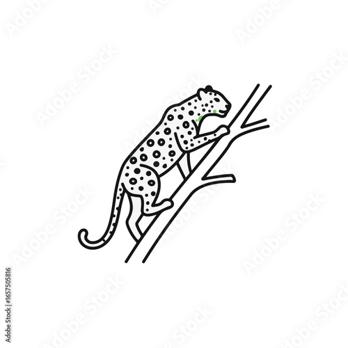 A leopard climbing up a tree. 