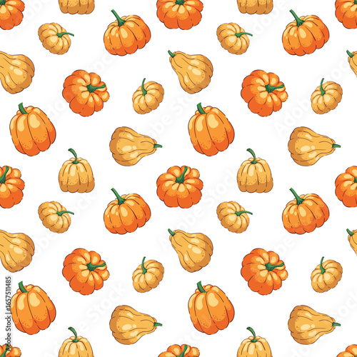 Autumn pattern with different-shaped pumpkins, autumn illustration, and the concept of harvesting