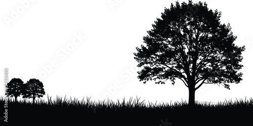 Silhouette of three trees with grass, black and white vector illustration, nature landscape design, minimalist outdoor scenery, forest concept art style