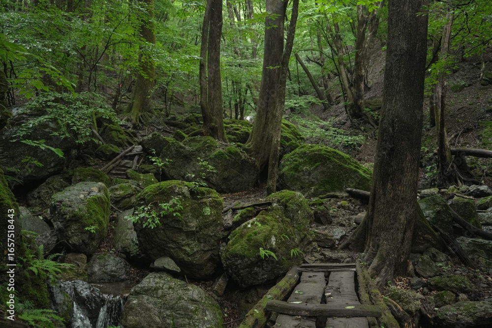 埼玉県_両神山_白井差登山道 埼玉県_両神山_白井差登山道