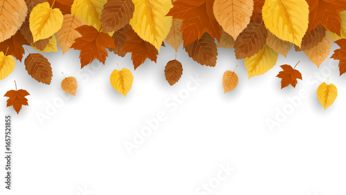 Autumn leaves with shadow, for frame and background. Vector illustration of frame made of beautiful autumn leaves. Colorful realistic autumn leaves for banner, poster, sale, cards and printing.
