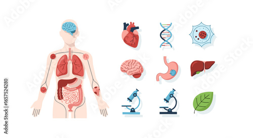 A Comprehensive Illustration Of Human Anatomy And Biology, Showcasing Organs, DNA, And Microscopic Elements, Perfect For Educational And Medical Concepts.