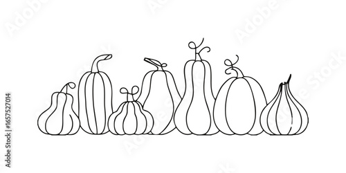 Pumpkins vector illustration isolated on white background. Deferent Shape of Pumkin Logo Vector . Icon Pumkin.