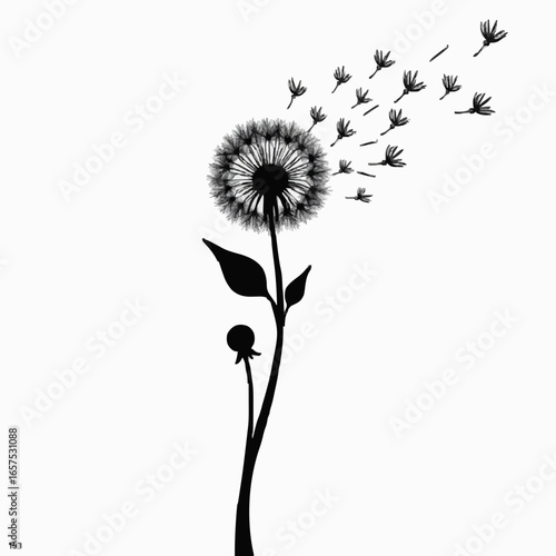 Dandelion flower vector