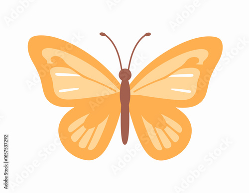 Colorful Orange Butterfly Illustration.