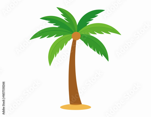 Cartoon Palm Tree with Coconut Fruit.