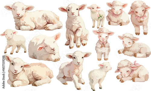 pink lamb watercolor clipart 