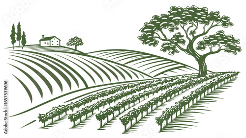 Stylized green illustration of rolling hills with vineyards and a farmhouse under a large tree