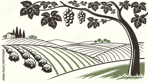 Stylized illustration of a tuscan vineyard with rolling hills grapevines and a rustic farmhouse under a clear sky