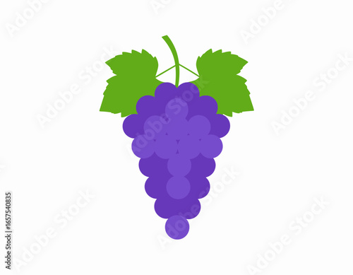 Purple Grape Cluster with Leaves.