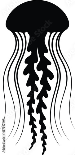 Black jellyfish tentacles and bell marine life sea creature