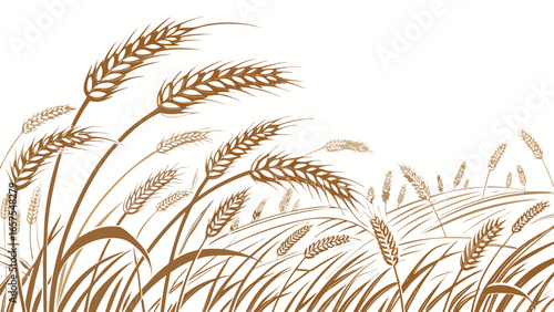 Vector art of a vector illustration of a wheat field with ears of grain