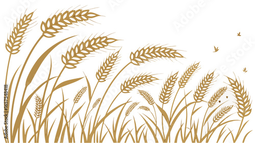 Vector art of golden wheat field with birds flying, a vector illustration of a rural scene in summer