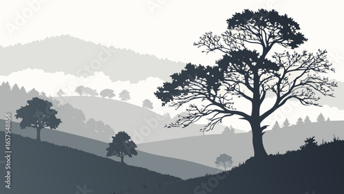 Vector art of serene mountain landscape with trees in silhouette, shrouded in fog, creating a peaceful and scenic view of natures beauty