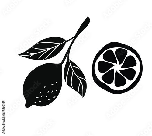 Set of orange fruits silhouettes with flowers and leaves. Hand drawn botanical design elements, icons, shapes. Black outline illustrations isolated on white background.